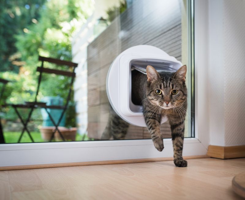 Cat Door Installation